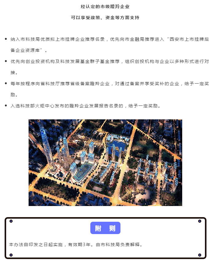 认定5.png